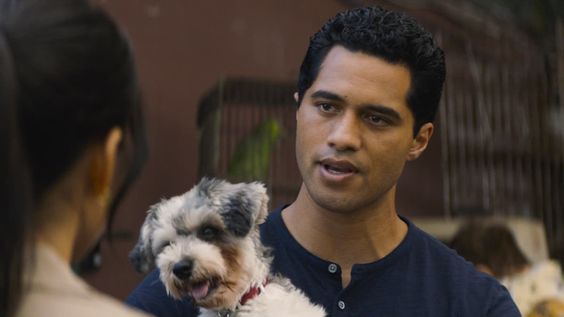 Shocker: New NCIS Spinoff Behind Hawai’i Cancellation! Find Out the Surprising Details Now!